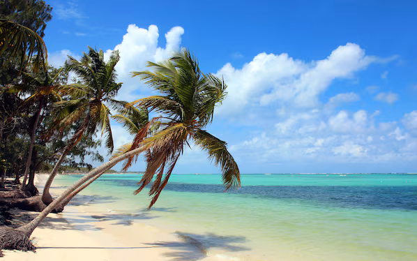 Bavaro Beach near Sunscape Coco Punta Cana with turquoise Caribbean waters and wide white sand shoreline
