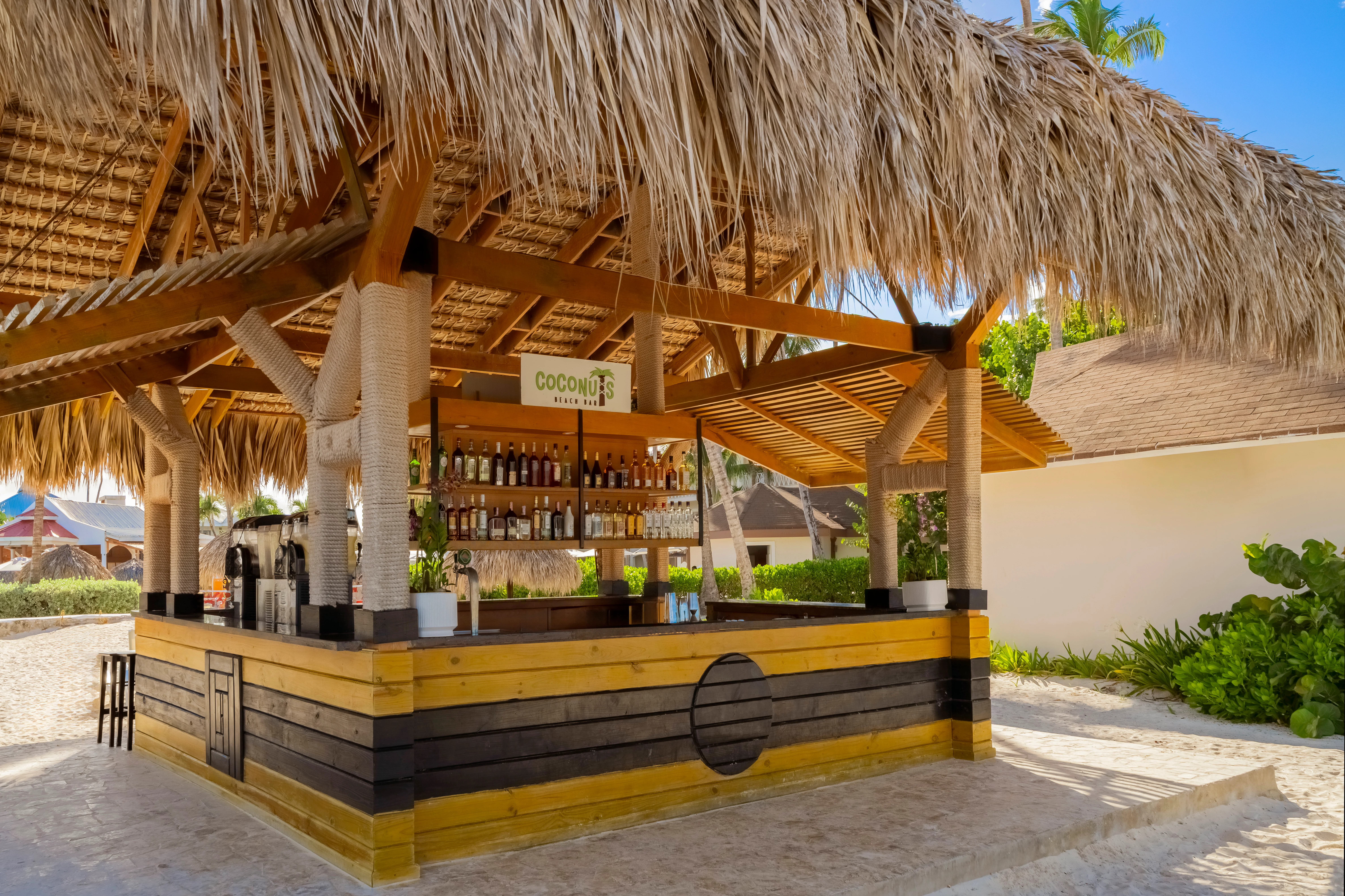 Coconuts bar at Sunscape Coco Punta Cana featuring tropical poolside seating, refreshing cocktails, and a relaxed Caribbean atmosphere.