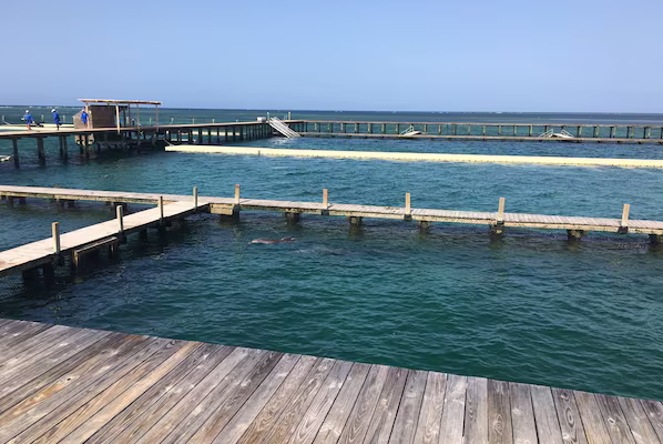 Dolphin Explorer near Sunscape Coco Punta Cana with marine attractions and family-friendly experiences in Punta Cana