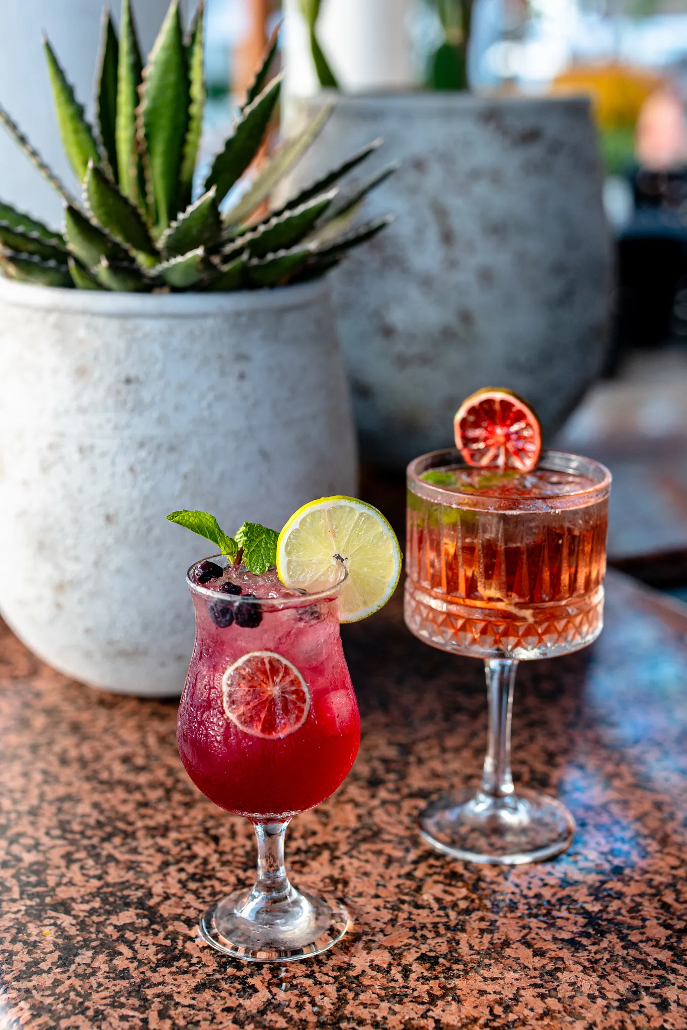Colorful tropical cocktails served at Sunscape Coco Punta Cana Resort bar.